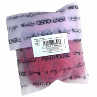 Боди-комбинезон с доступом Penthouse Body Search S/L красный