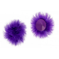 Пушистые пэстисы фиолетовые