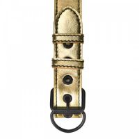 Дерзкий ошейник золотого цвета с поводком