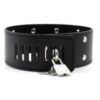 Ошейник с заклепками и кольцом