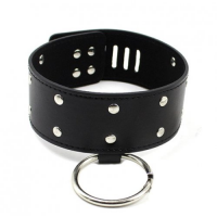 Ошейник с заклепками и кольцом