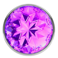 Анальная пробка из алюминия с фиолетовым камушком