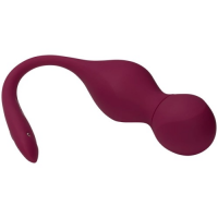 Вагинальные смарт-шарики с вибрацией и сменными утяжелителями Satisfyer Love Birds Vary бордовый