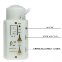 Вагина и фаллос с вибрацией и ротацией Male Cock and Vagina